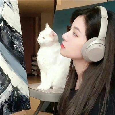 女婿难当